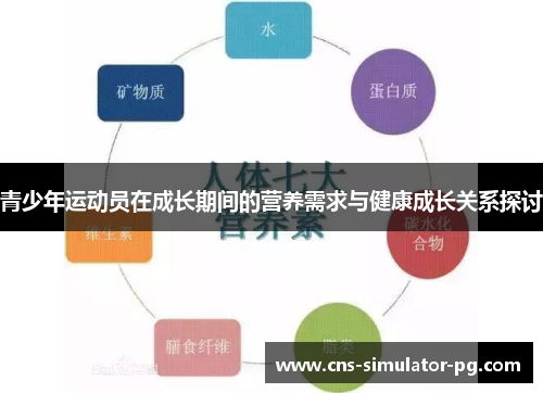 青少年运动员在成长期间的营养需求与健康成长关系探讨