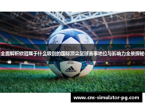 全面解析欧冠属于什么级别的国际顶尖足球赛事地位与影响力全景探秘