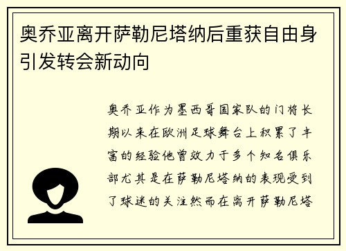 奥乔亚离开萨勒尼塔纳后重获自由身引发转会新动向 奥乔亚离开萨勒尼塔纳后重获自由身引发转会新动向