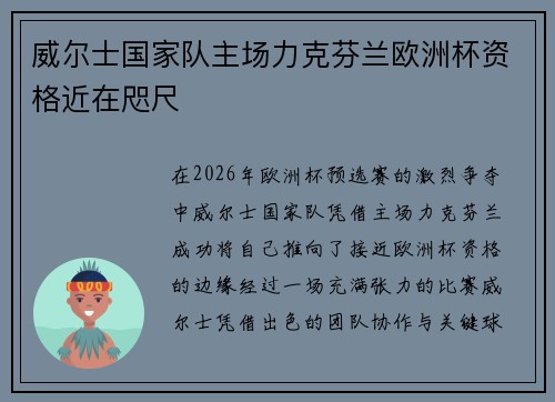 威尔士国家队主场力克芬兰欧洲杯资格近在咫尺
